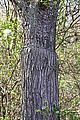 KH250416b001