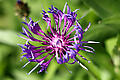 KH250509a017