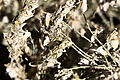 KH250509a025