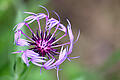 KH250529a038