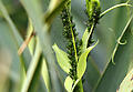 KH250608a005