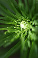 KH250616a002