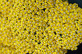 KH250715a018