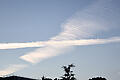 KH260906b002