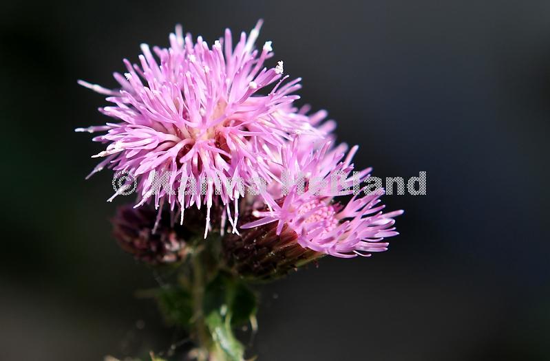 KH100922c002