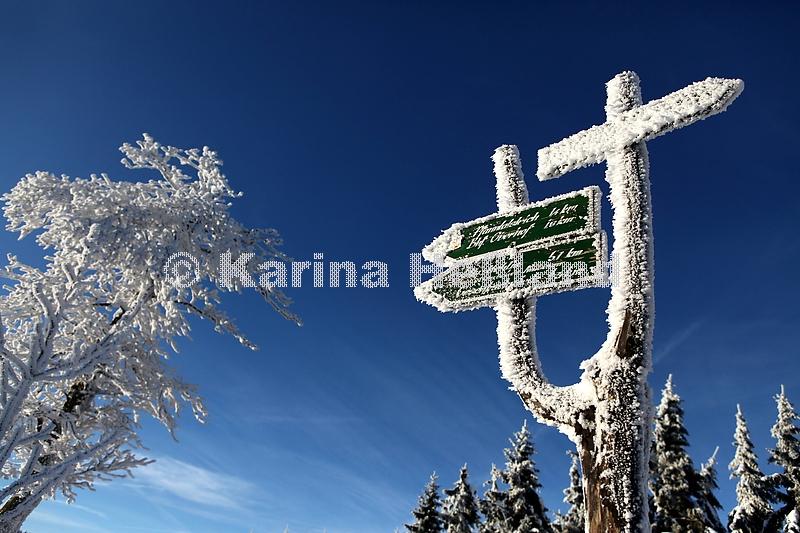 KH101230a008
