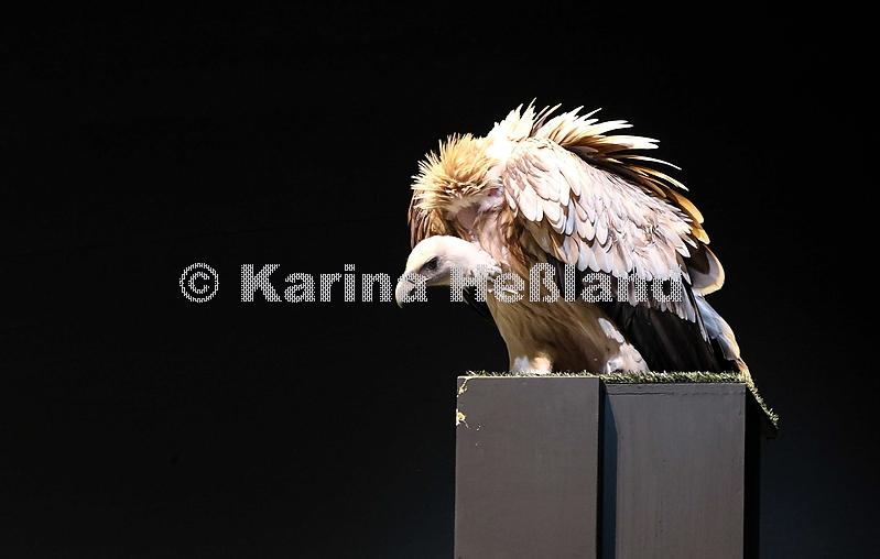 KH120111c021