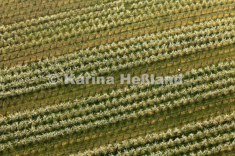 KH140402c075