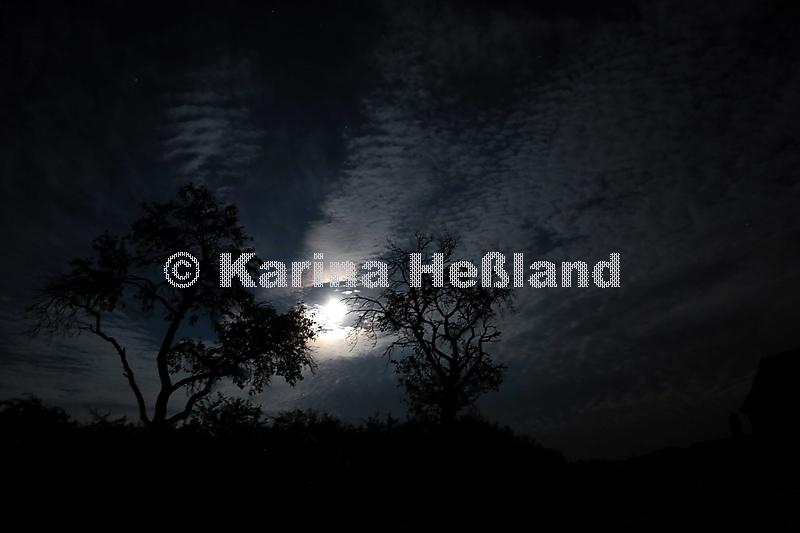 KH140909f001