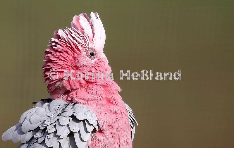 KH200209a003