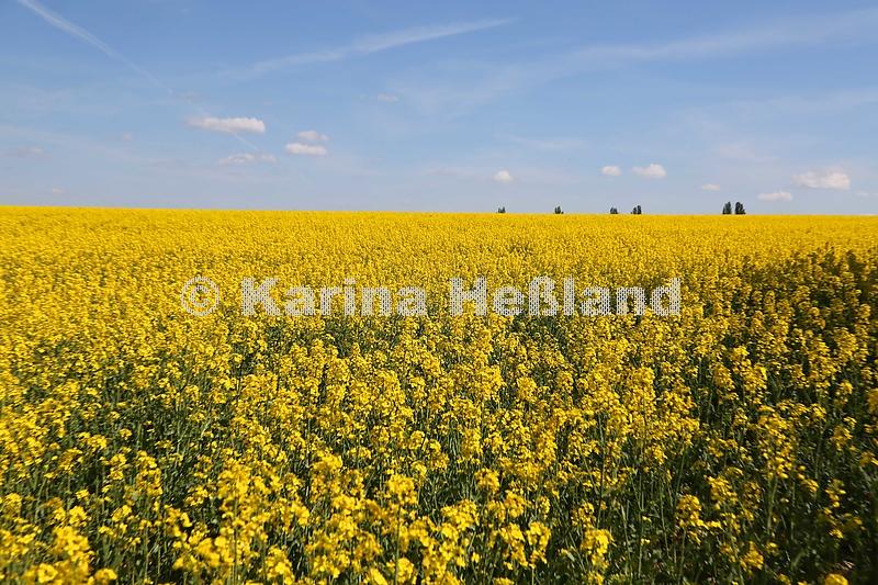 KH200426a025