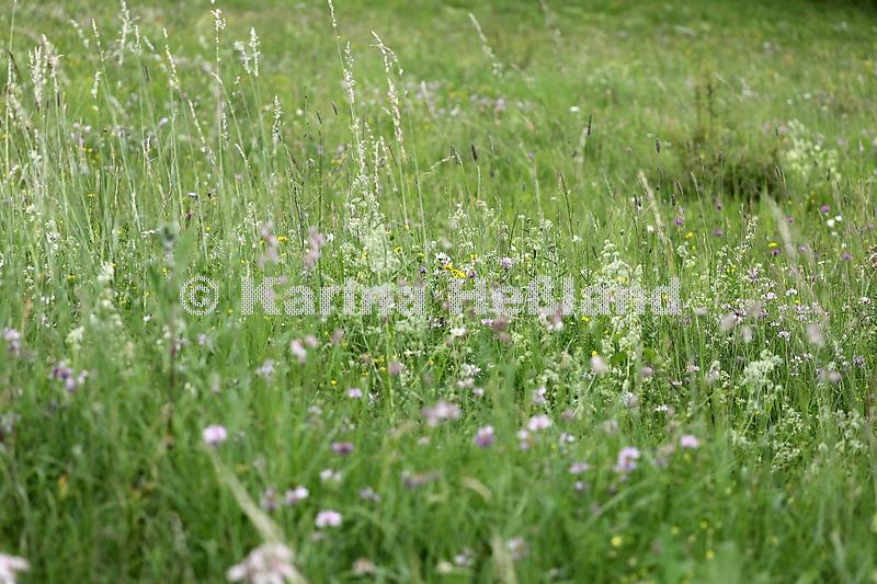 KH200705b021