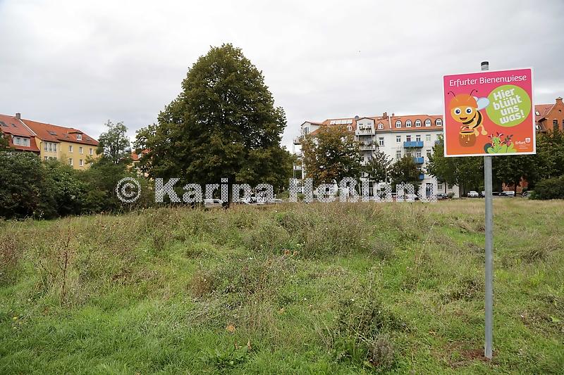 KH200904c001