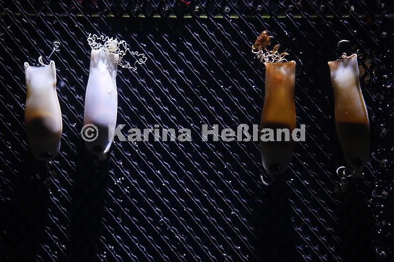 KH201022a006