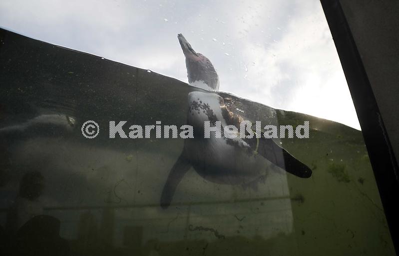 KH201022a015