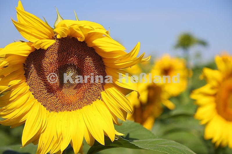 KH210726a007