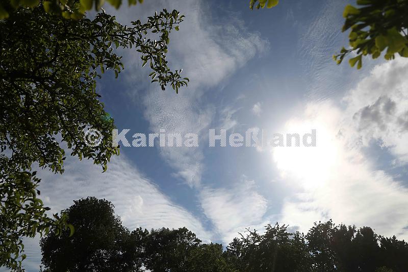 KH220601c002