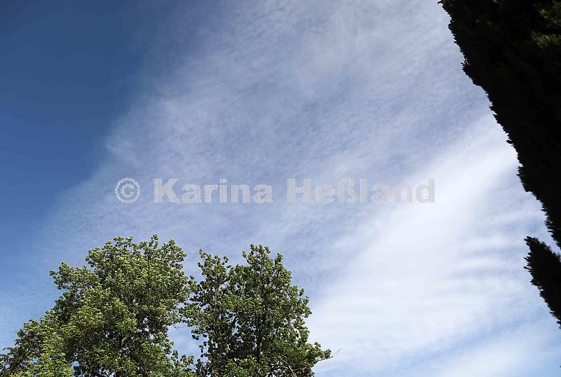 KH220601c006