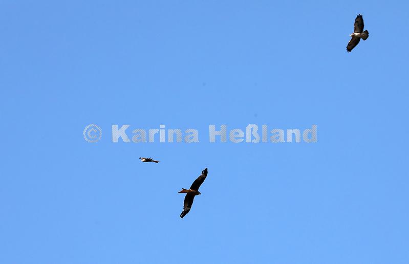 KH220607a003