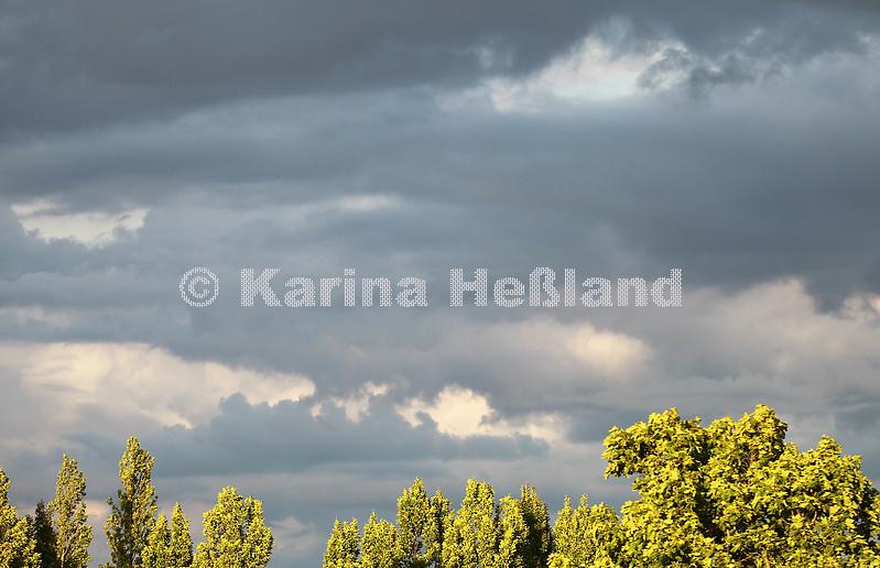 Kh220709d021
