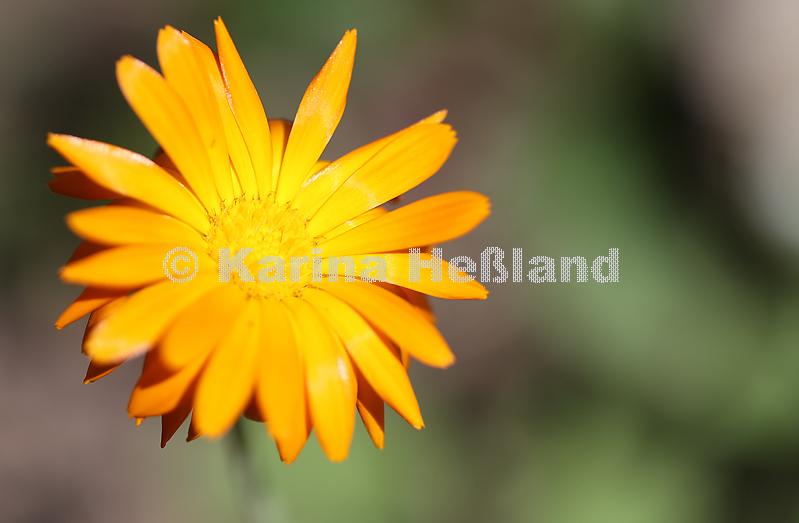 KH220712a033
