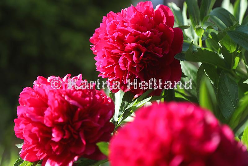 KH230528c011