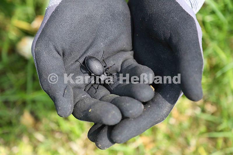 KH230619a012