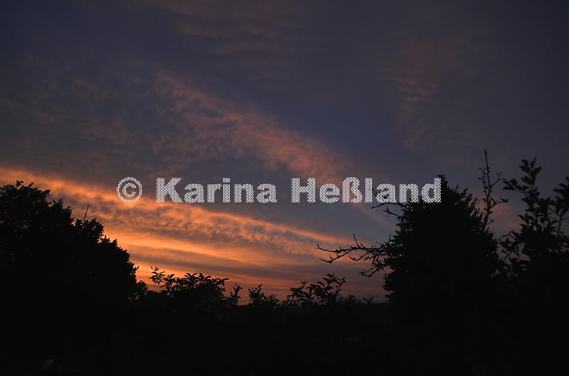 KH230817d006