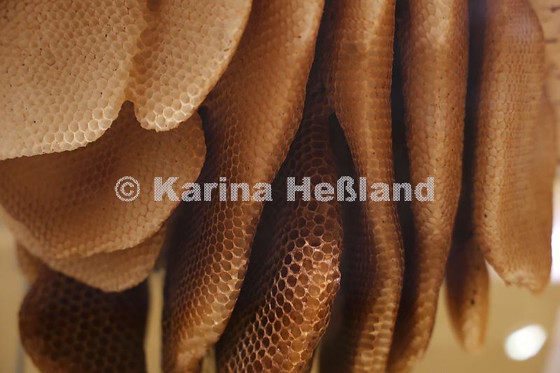 KH230920c006