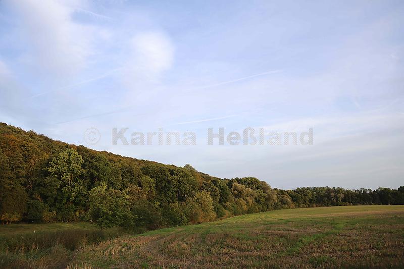 KH231011c029