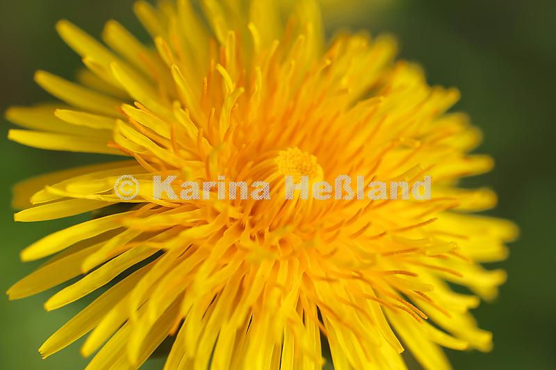 KH240408a017