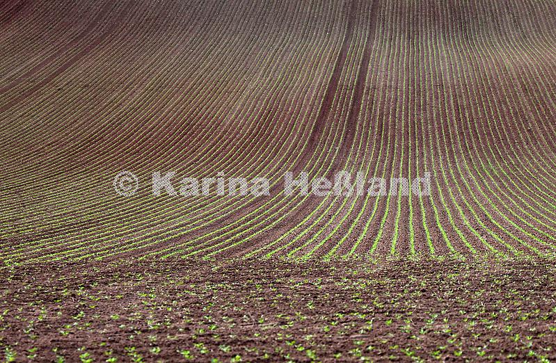 KH240504a045