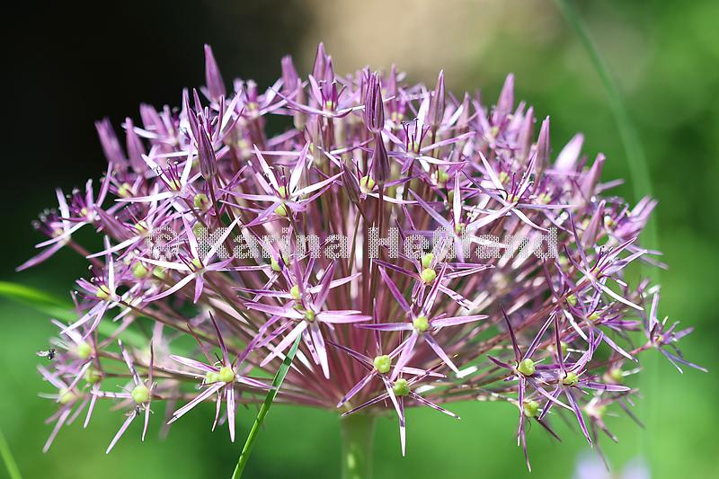KH240604b020