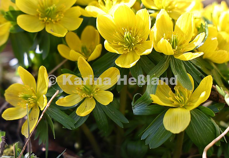 KH250304a012