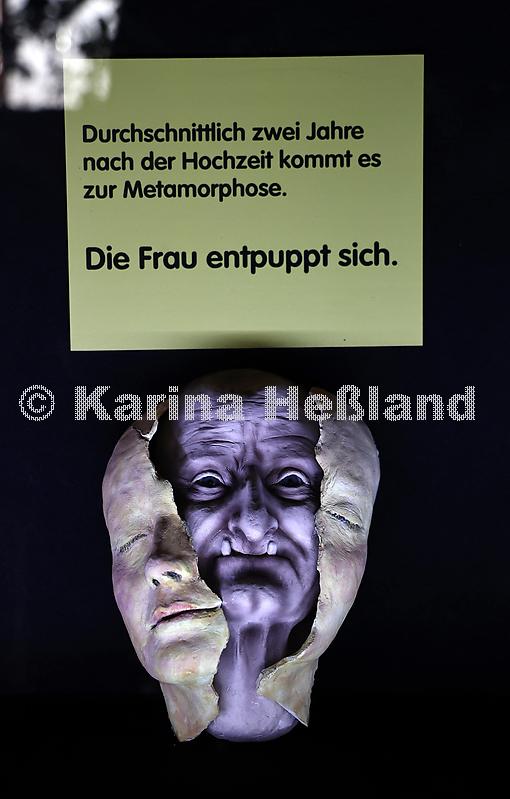 KH250410b063
