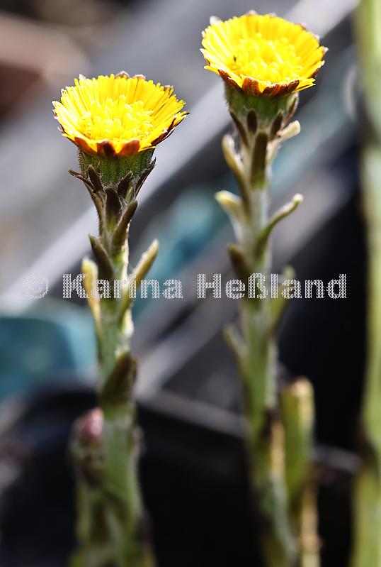KH250415a038
