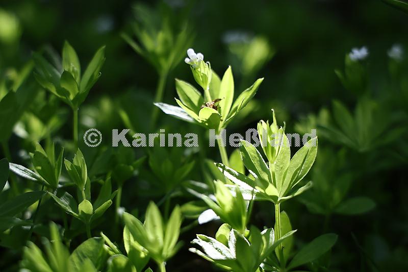 KH250509a006