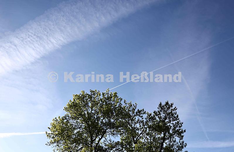 KH250510a002