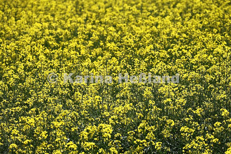 KH250510a026