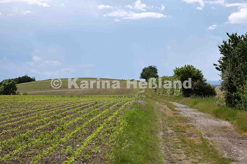 KH250528a006