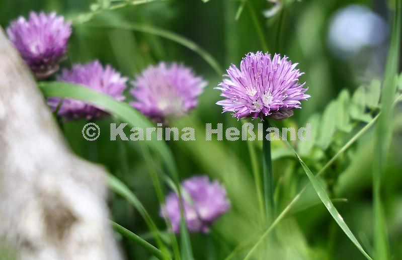 KH250529a017