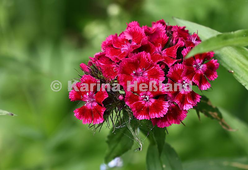 KH250605b020