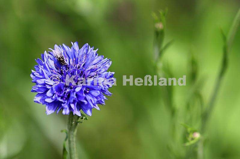 KH250605b022