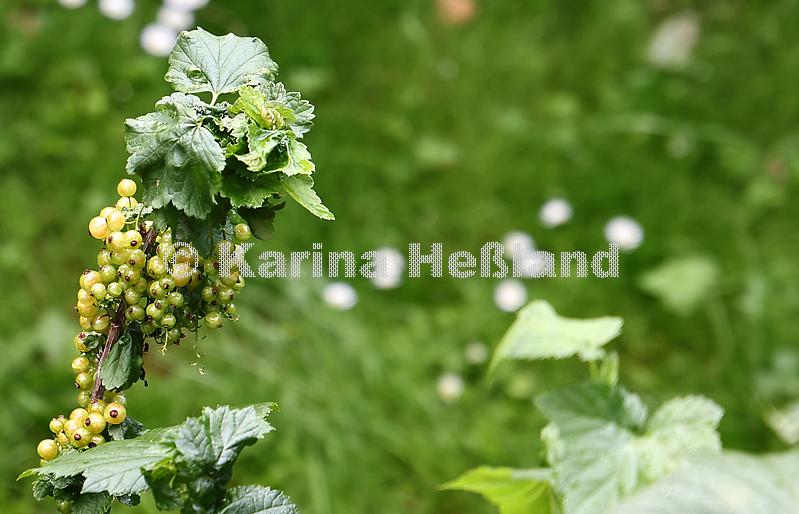 KH250615a009