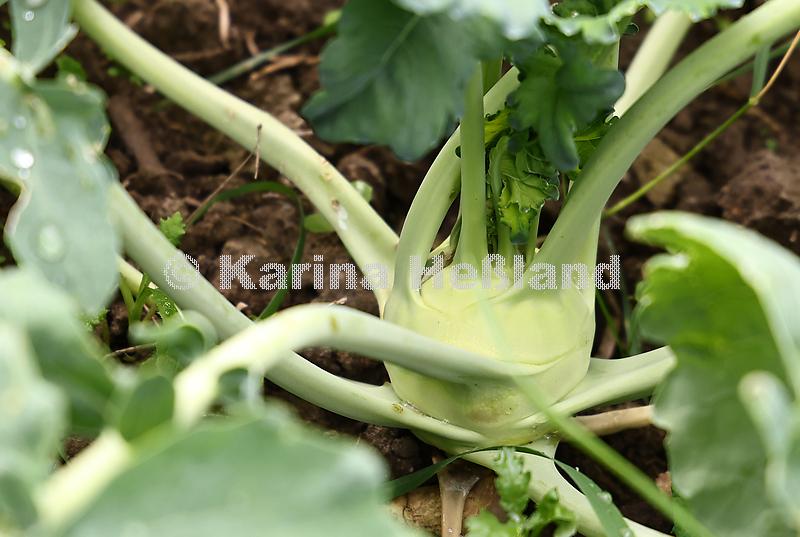 KH250615a012