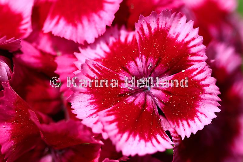 KH250616a005