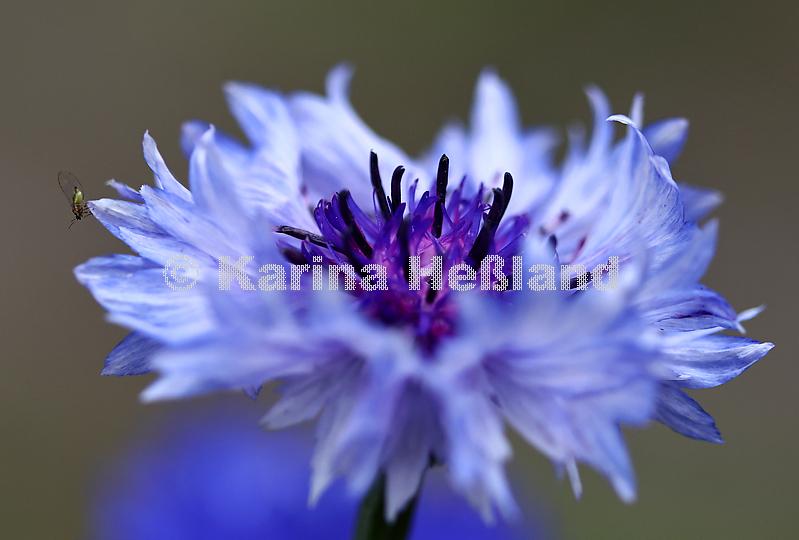 KH250616a007