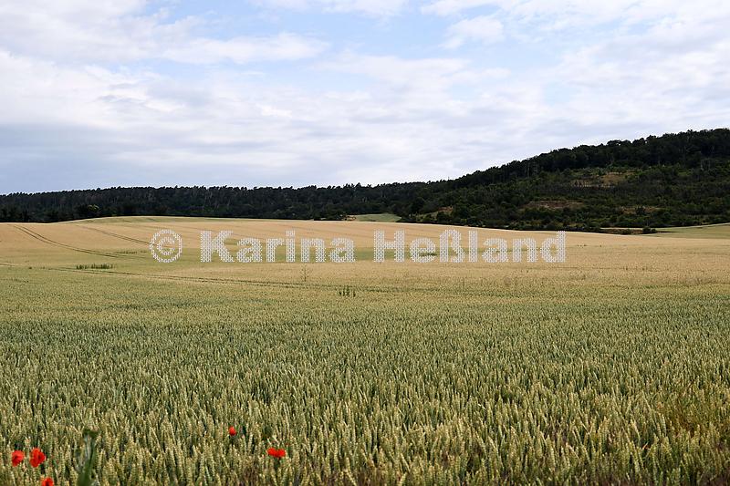 KH250626a024