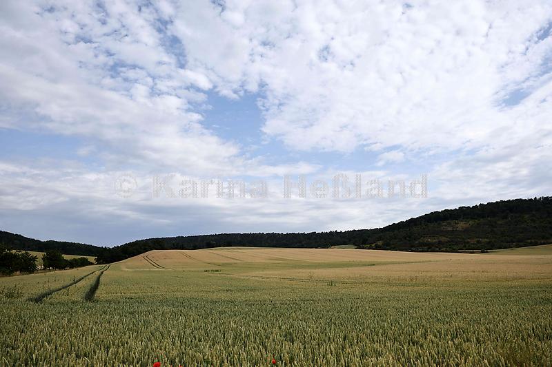 KH250626a025