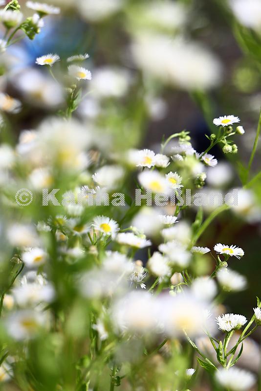 KH250707a004